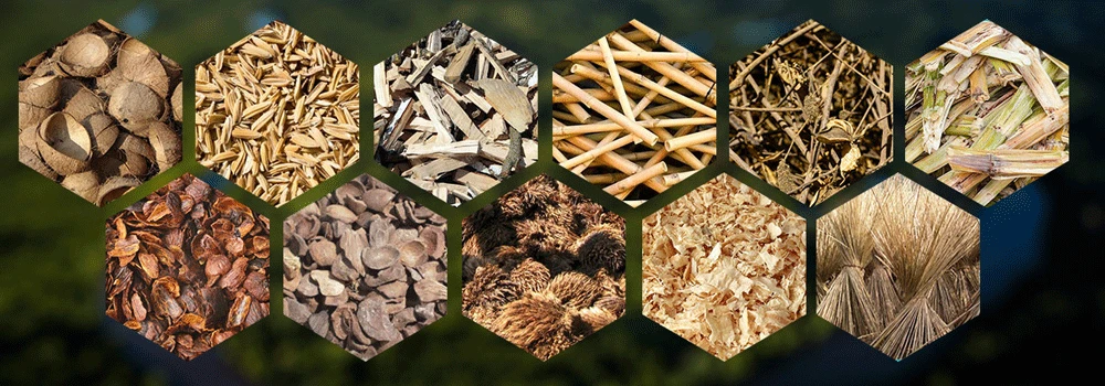Biomass-Pyrolysis